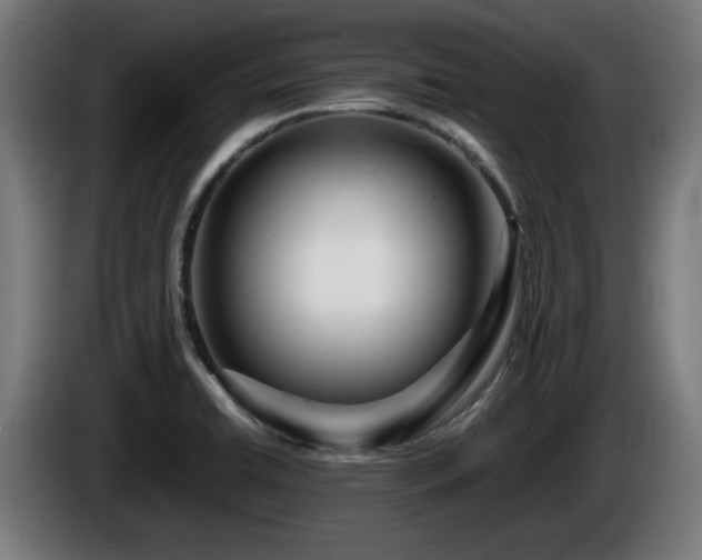 X0000086081422200703301118