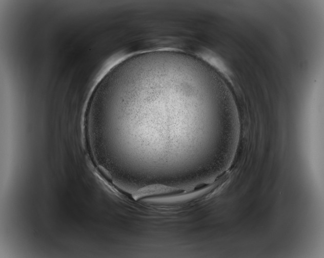 X0000086081423200703301118