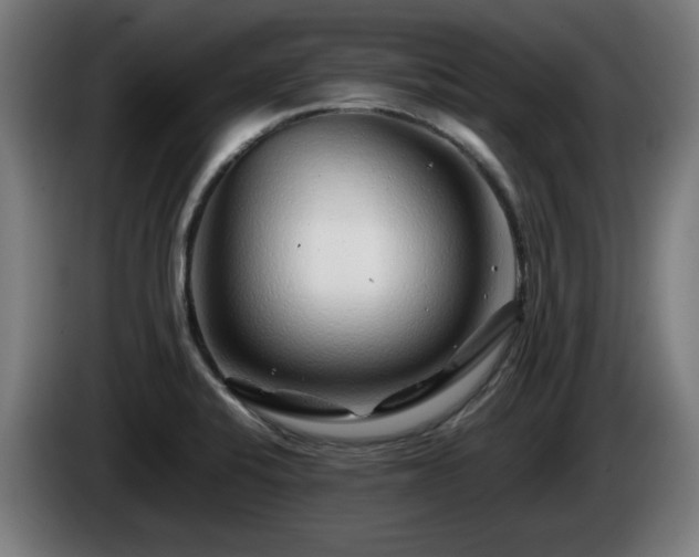 X0000086081424200703301118