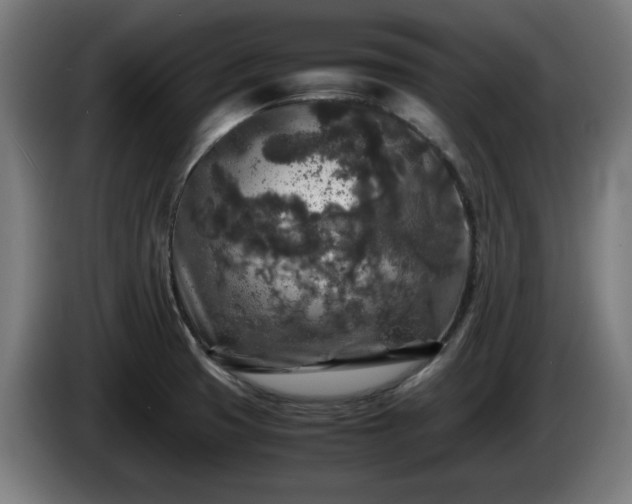 X0000086081425200703301118