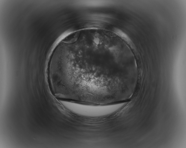 X0000086081427200703301118