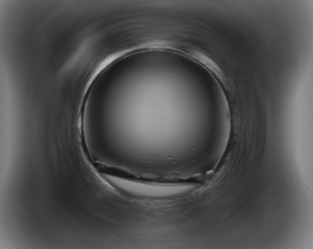 X0000086081428200703301118