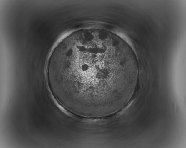 X0000086081429200703301118