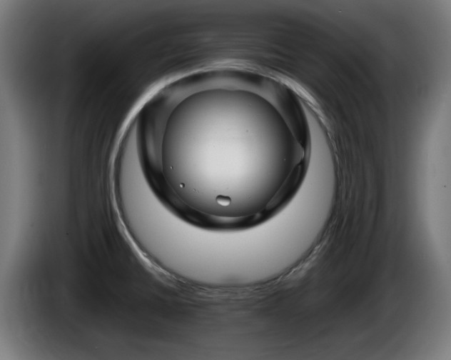 X0000086081430200703301118