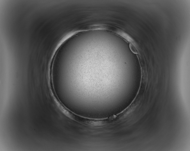 X0000086081431200703301118