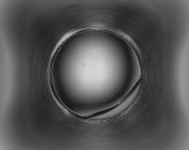 X0000086081432200703301118