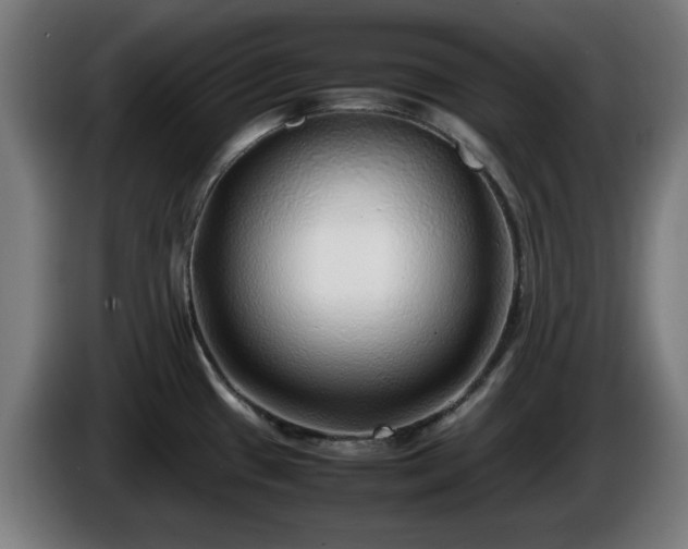 X0000086081433200703301118