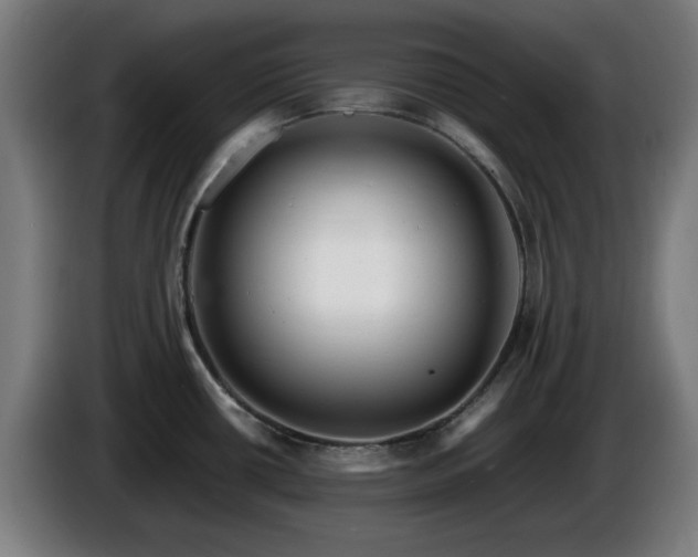 X0000086081434200703301118