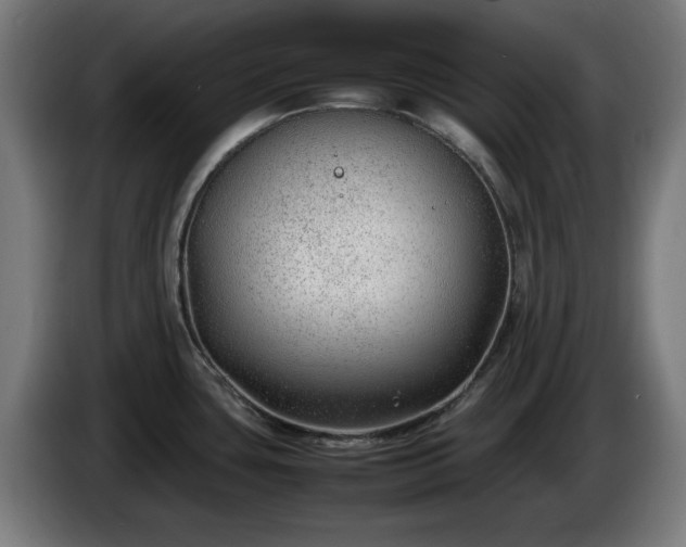 X0000086081435200703301118