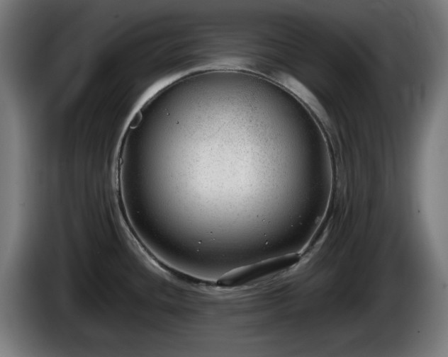 X0000086081436200703301118