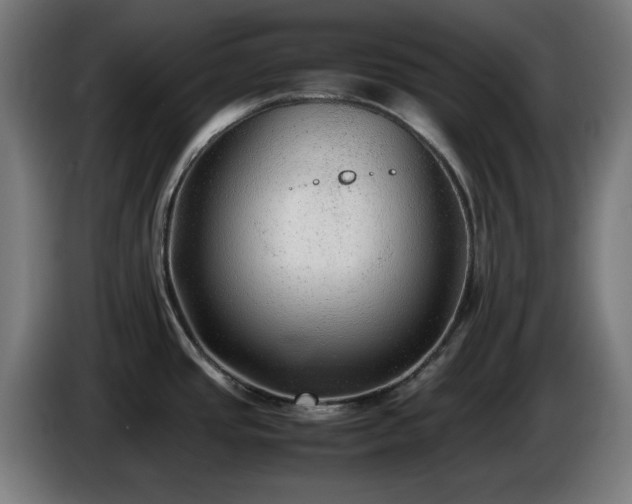 X0000086081437200703301118