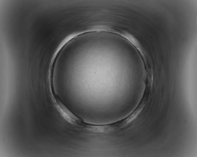 X0000086081438200703301118