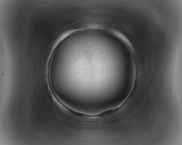 X0000086081439200703301118