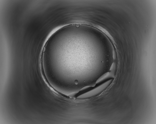 X0000086081440200703301118