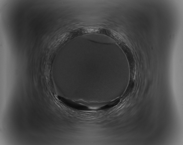 X0000086081441200703301118