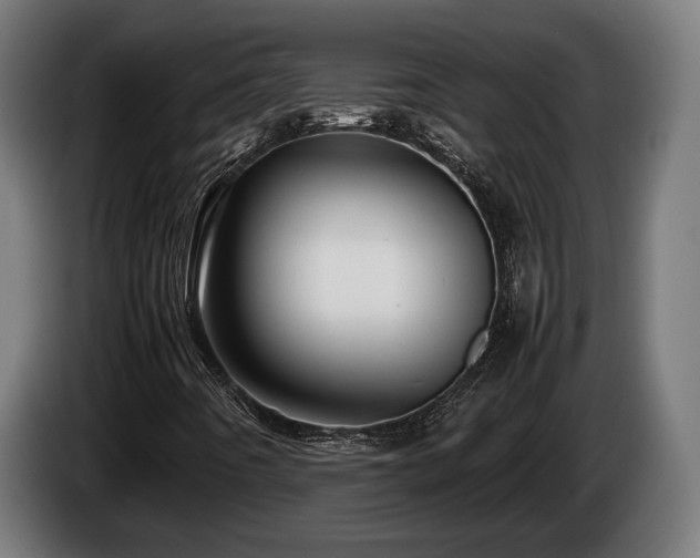 X0000086081442200703301118