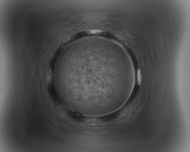 X0000086081443200703301118