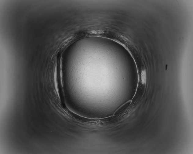 X0000086081444200703301118