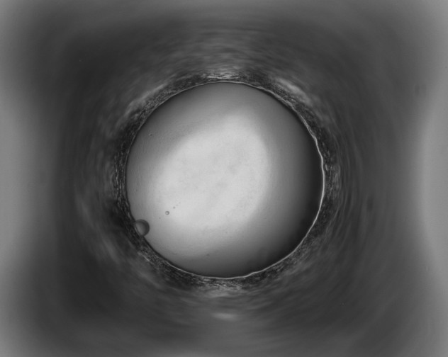 X0000086081446200703301118