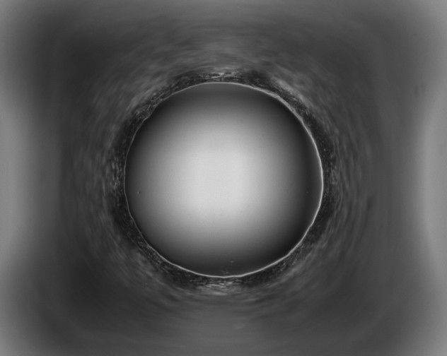 X0000086081447200703301118