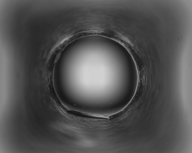 X0000086081448200703301118