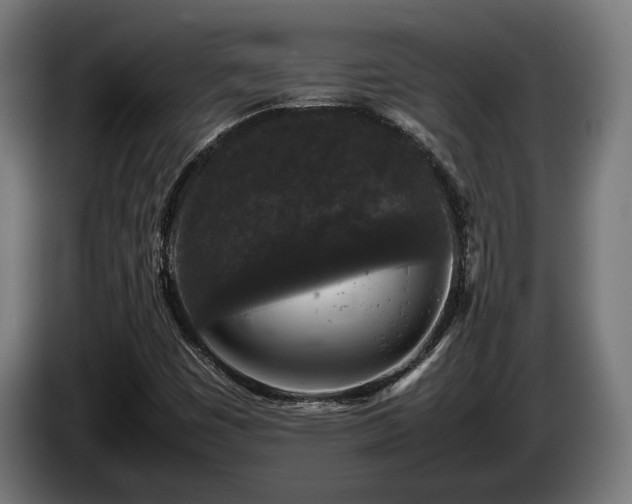 X0000086081449200703301118