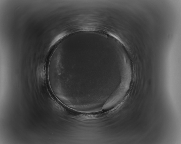 X0000086081450200703301118