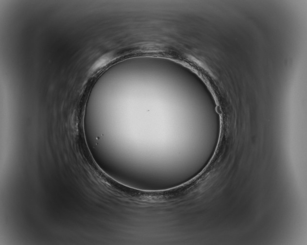 X0000086081451200703301117