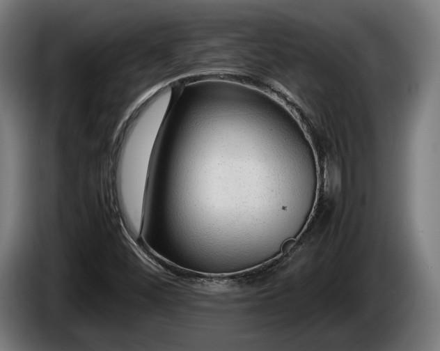 X0000086081452200703301117