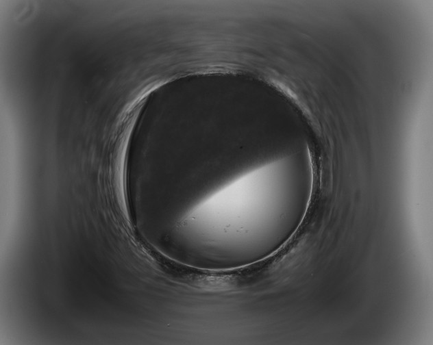 X0000086081453200703301117