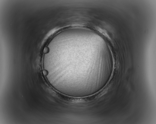 X0000086081454200703301117