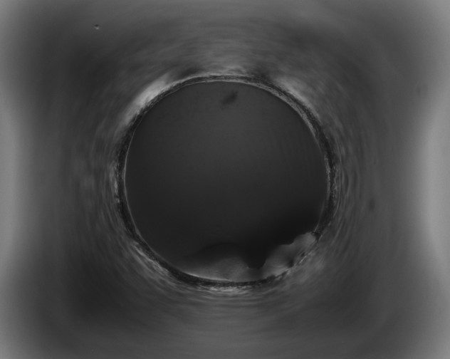 X0000086081455200703301117