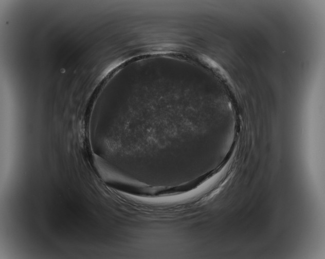 X0000086081457200703301117