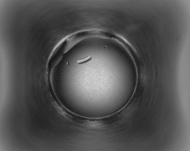 X0000086081460200703301117