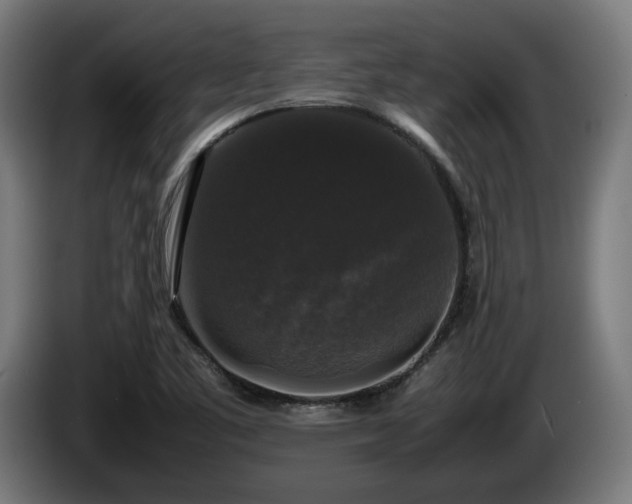 X0000086081461200703301117