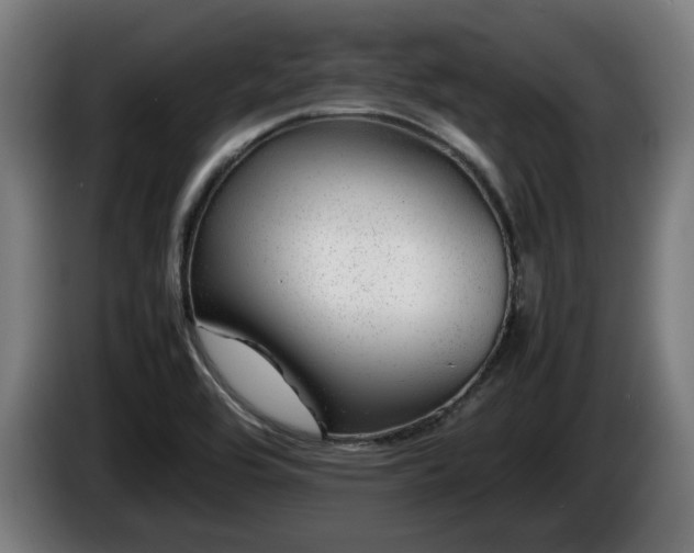 X0000086081464200703301117