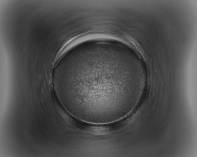 X0000086081465200703301117