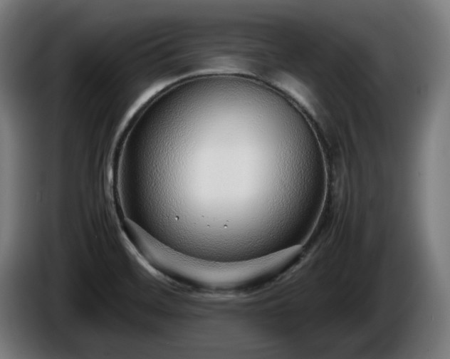 X0000086081468200703301117