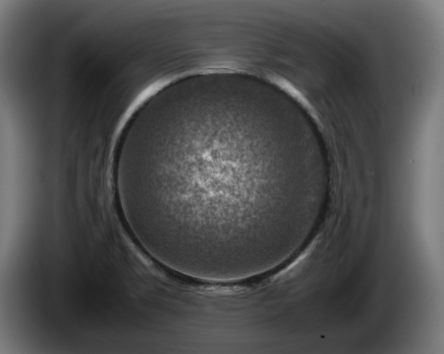 X0000086081469200703301117