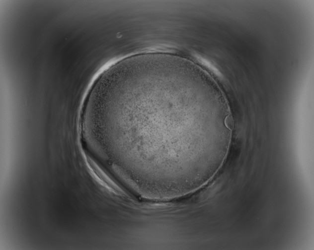 X0000086081471200703301117