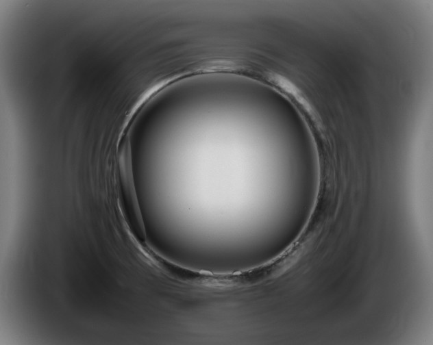 X0000086081473200703301117