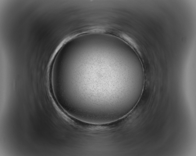 X0000086081475200703301117