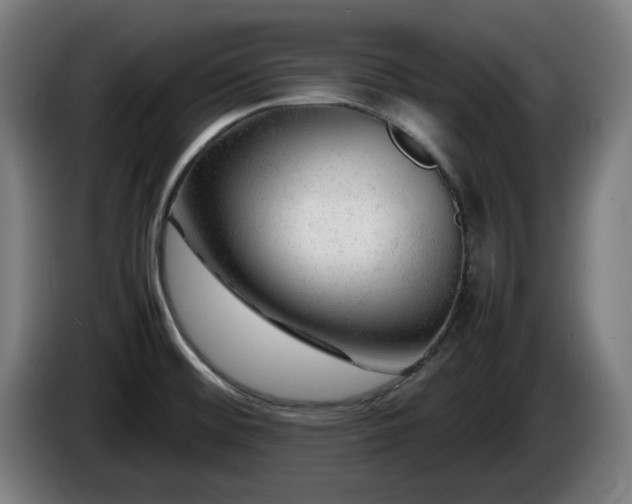 X0000086081476200703301117