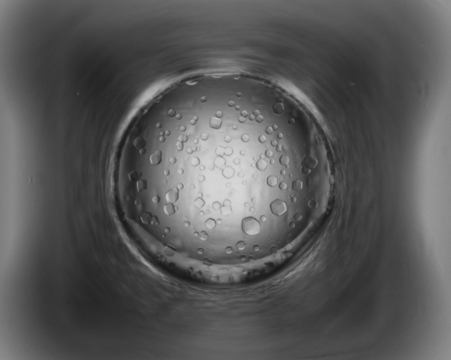 X0000086081477200703301117
