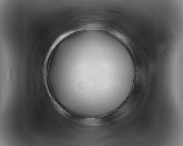 X0000086081478200703301117