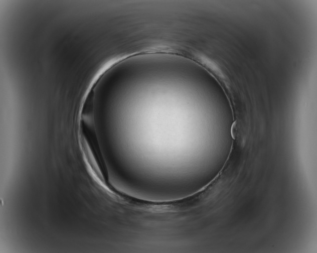 X0000086081479200703301117