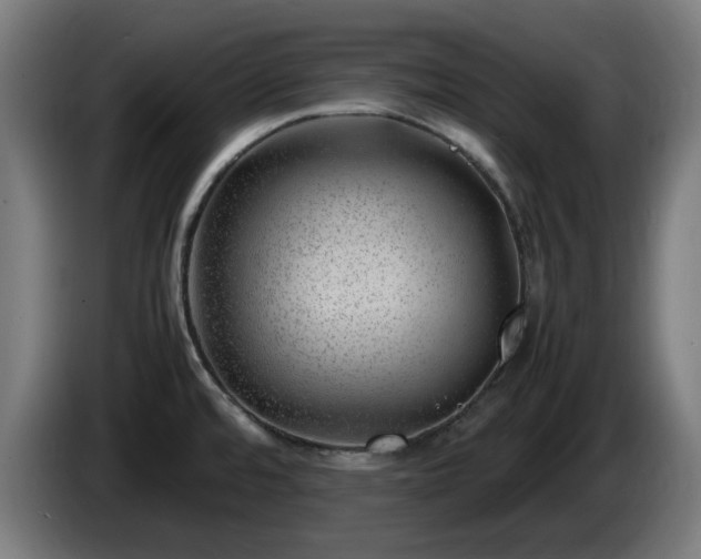 X0000086081480200703301117