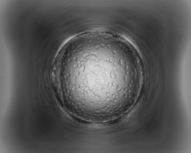 X0000086081481200703301117