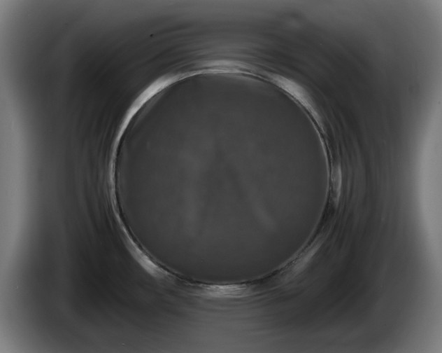 X0000086081482200703301117