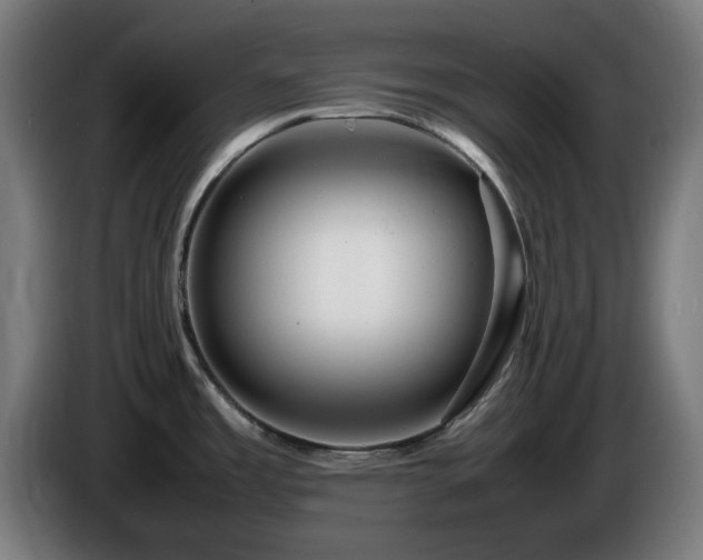 X0000086081485200703301117